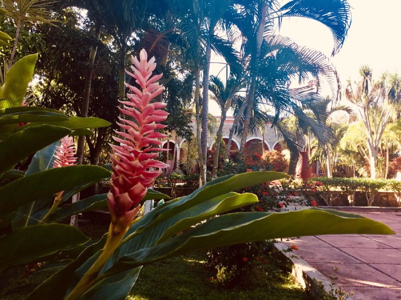 Hacienda Sacnicte, Izamal, Мексика