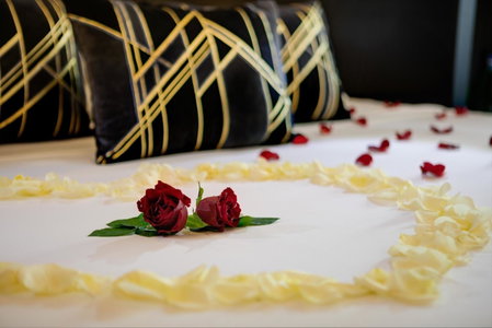Dharma Boutique Hotel & SPA, Rome, Italia