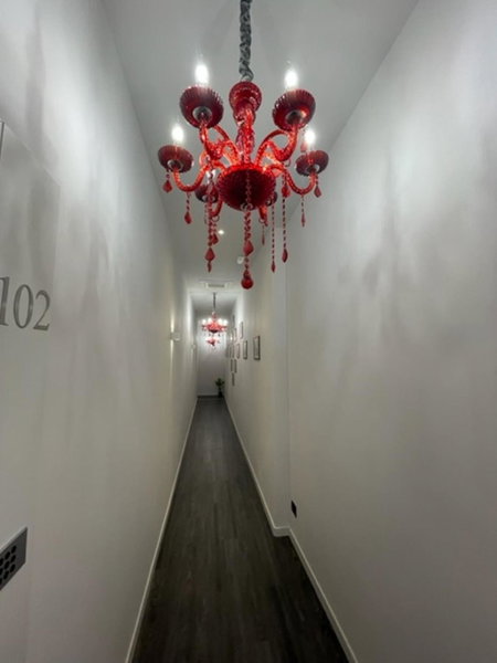 Hotel Delle Camelie, Florence, Italia