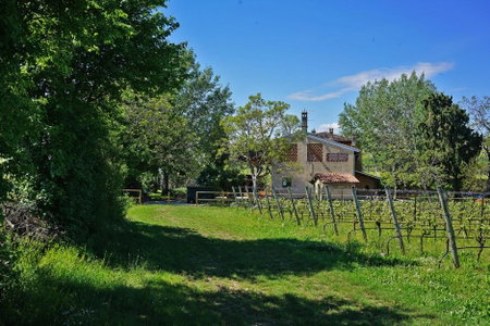 Domus Cariana, San Pietro in Cariano, Италия