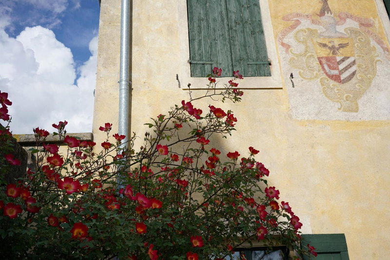 Domus Cariana, San Pietro in Cariano, Италия