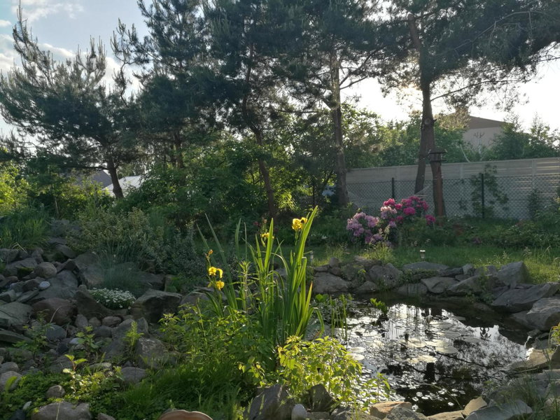 Wellspring, Radom, Poland