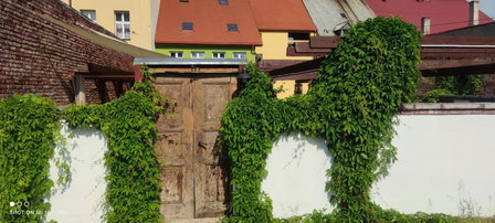 Noclegi Szymrych, Kamienna Gora, Polen
