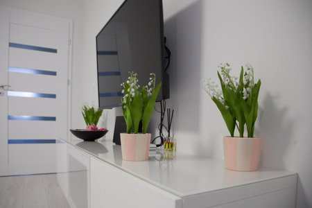 Apartament Wrocław Borowska, Wrocław, Польша
