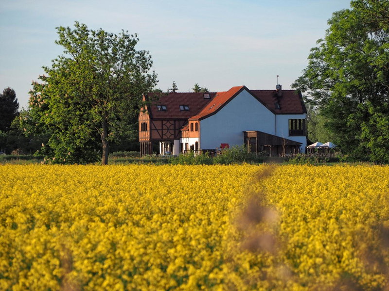 Folwark Żuławski, Elblag, Poland