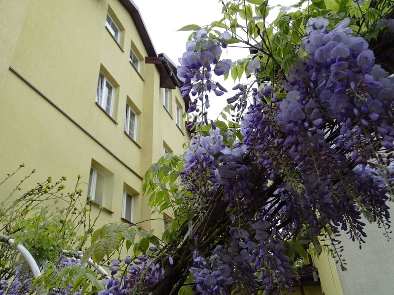 Margerita, Modlnica, Польша