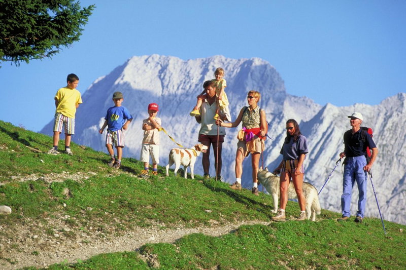 der grüne Baum Mountain Boutique Hotel, Telfs, Австрия