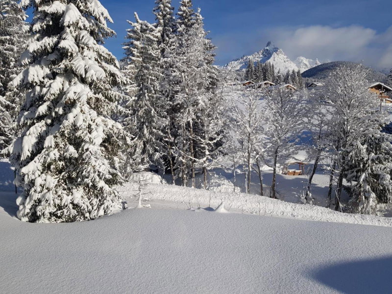 Haus Izabella, Filzmoos, Austria