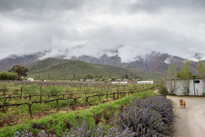 Leipzig Country House & Winery, Worcester, South Africa