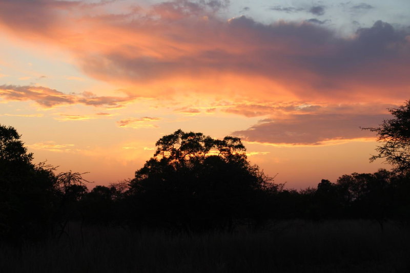 Foreva Wild, Klipdrift, South Africa