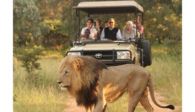 Honeyguide Ranger Camp, Golders Green, South Africa