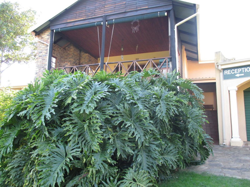 Thaba Tsweni Lodge & Safaris, Graskop, Südafrika