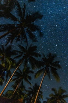 Eco Sanctuaries Nature Lodge Nacpan Beach, El Nido, El Nido, Philippines