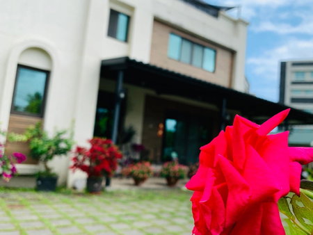 Jifun Flower Meanings, Hualien City, 台湾