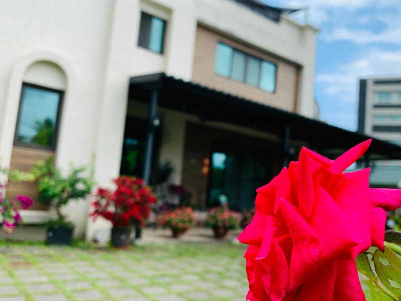 Jifun Flower Meanings, Hualien City, 台湾