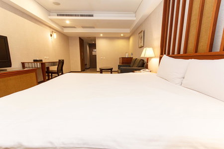 SLV Hotel Group-SLV Business Hotel, Banqiao, 台湾