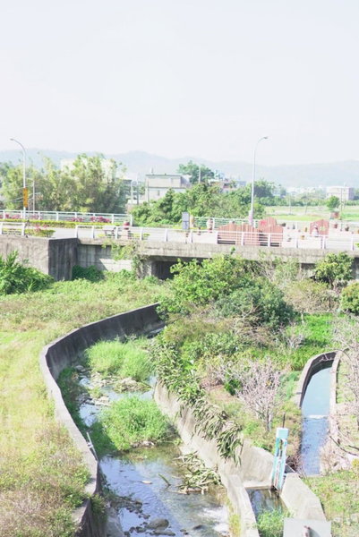 喫茶居 茶蔬食主題民宿 Chih Cha Jyu, Gongguan, 台湾