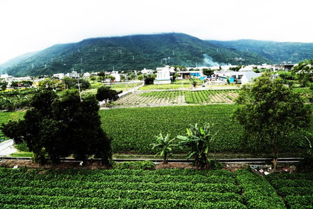 Bo Jue Farm Stay, Hualien City, 台湾