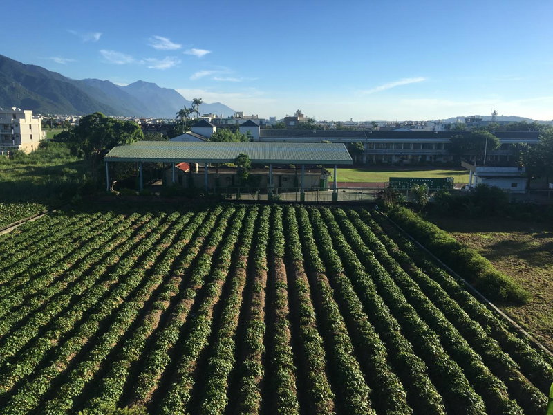 Bo Jue Farm Stay, Hualien City, 台湾
