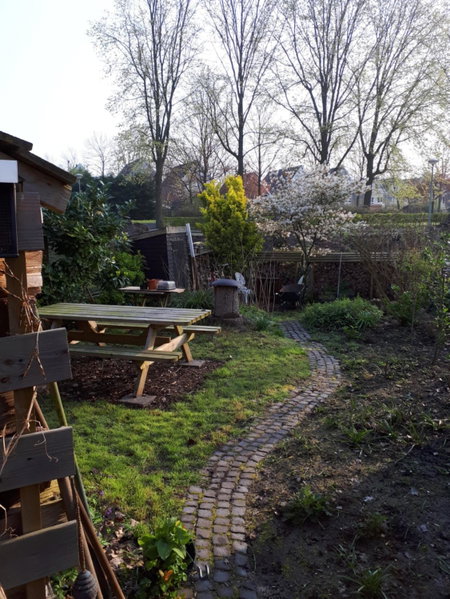 Klavergeluk, Amsterdam, Нидерланды
