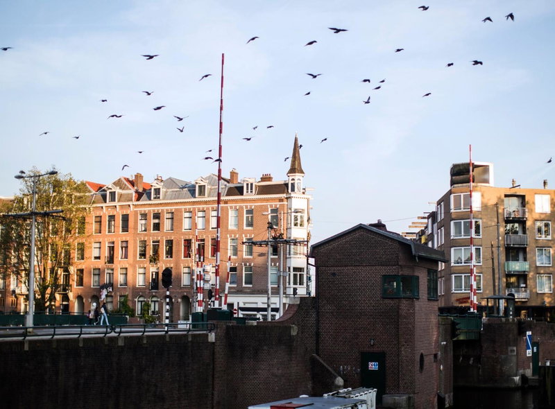 SWEETS - Kattenslootbrug, Amsterdam, Niederlande
