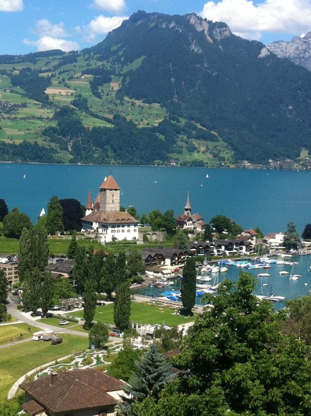Lake View Apartment, Faulensee, Suisse