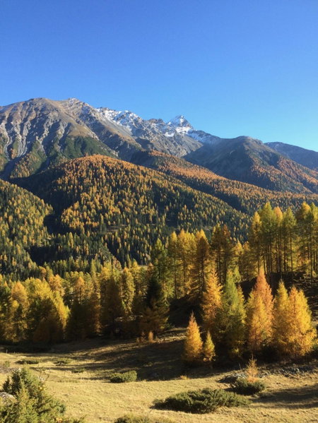 Chesa Sper l'Ovel Brail, Zernez, Швейцария