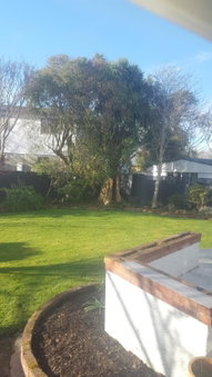 64Lewis, Invercargill, Новая Зеландия