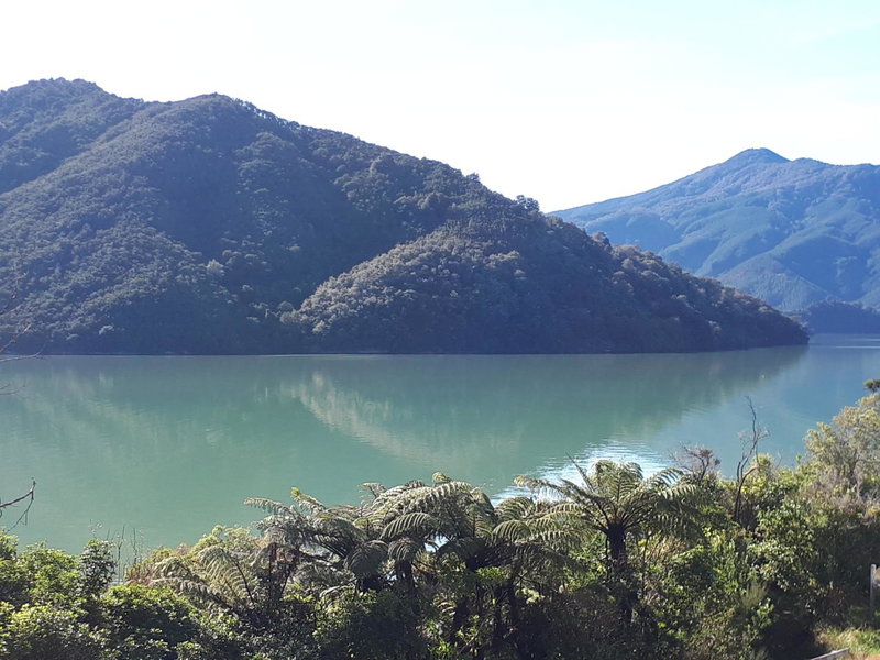 Marlborough Sounds Accommodation, Havelock, New Zealand
