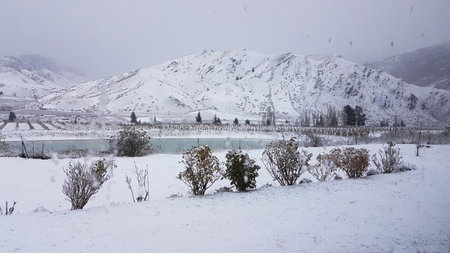 Lodges on Pearson - Unit 2, Cromwell, New Zealand