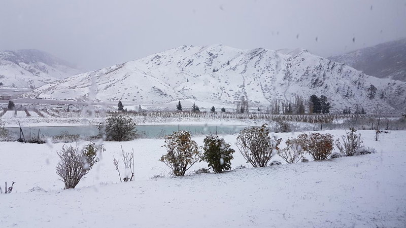 Lodges on Pearson - Unit 2, Cromwell, New Zealand
