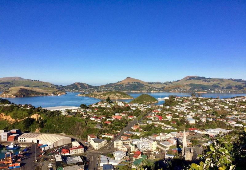 Artica Art & Accommodation, Dunedin, Neuseeland