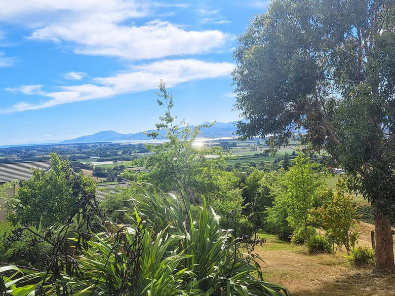 Golden Hills Farm Cottage with Swimming Pool, Nelson, Nouvelle-Zélande