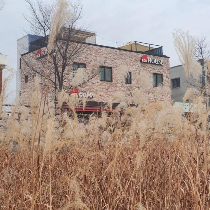 RGB Guesthouse, Jeonju, Corée du Sud