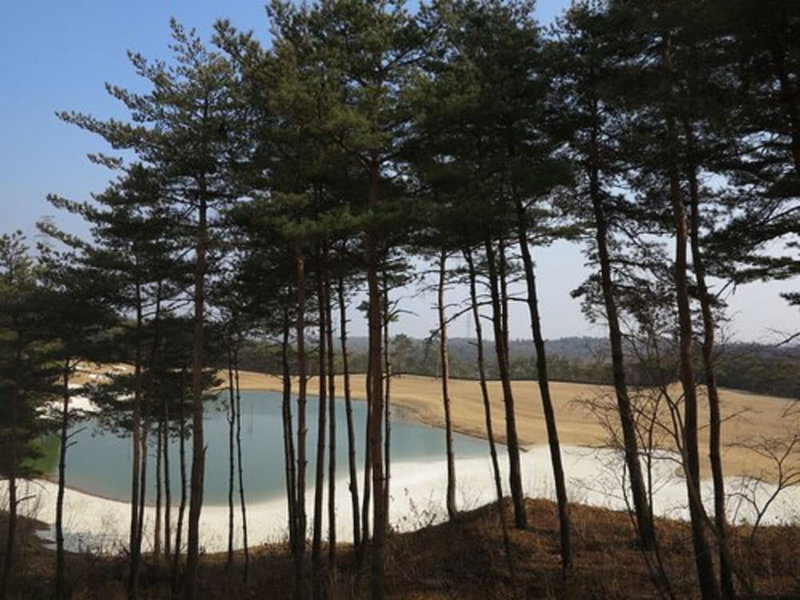 PineRidge Resort, Goseong, South Korea