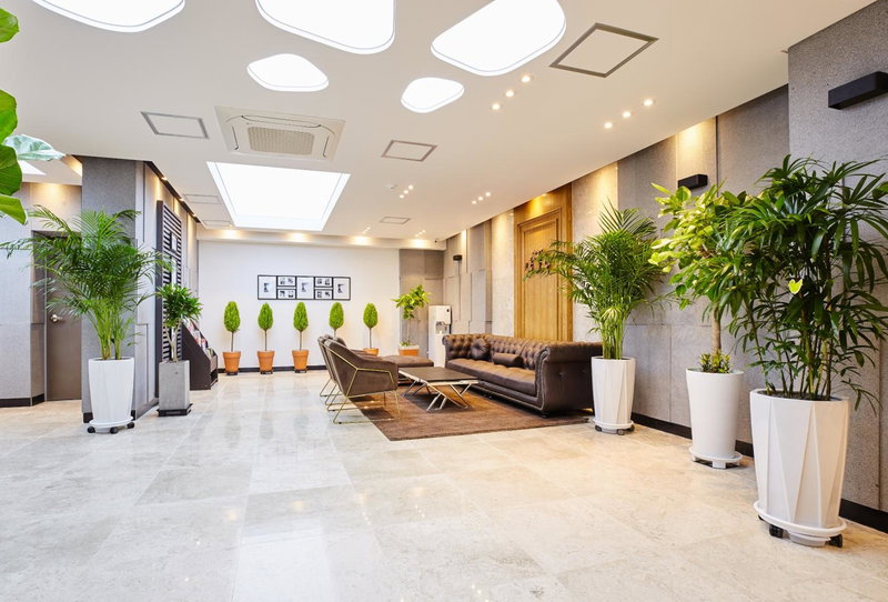 Noble Stay Hotel, Gwangju, 대한민국