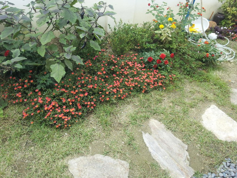 Jeonju Nostalgic Home, Jeonju, Corée du Sud