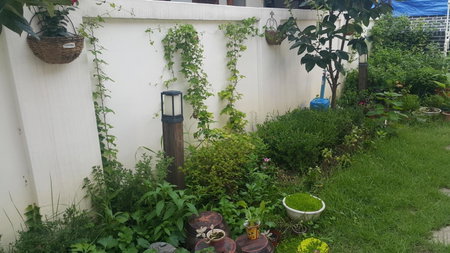Jeonju Nostalgic Home, Jeonju, Corée du Sud
