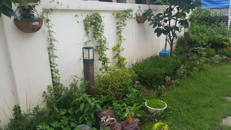 Jeonju Nostalgic Home, Jeonju, Corée du Sud