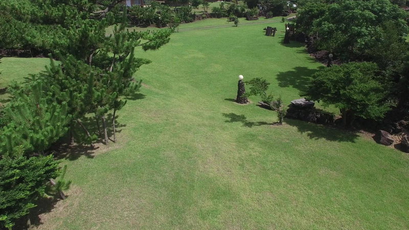 Jeju Bille Log Pension, Seogwipo, 대한민국