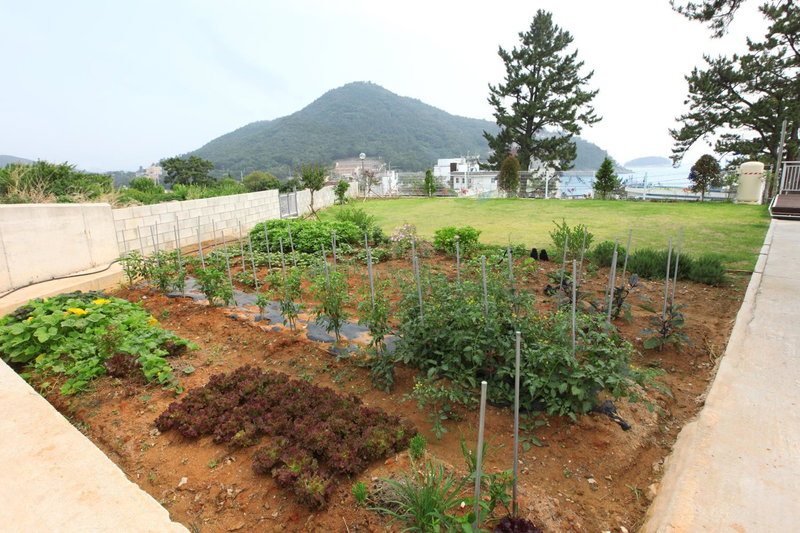 Seasidepine Pension, Yeosu, South Korea