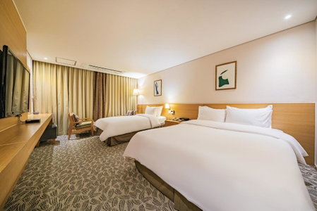 Benikea Hotel Bizinn, Wonju, 대한민국
