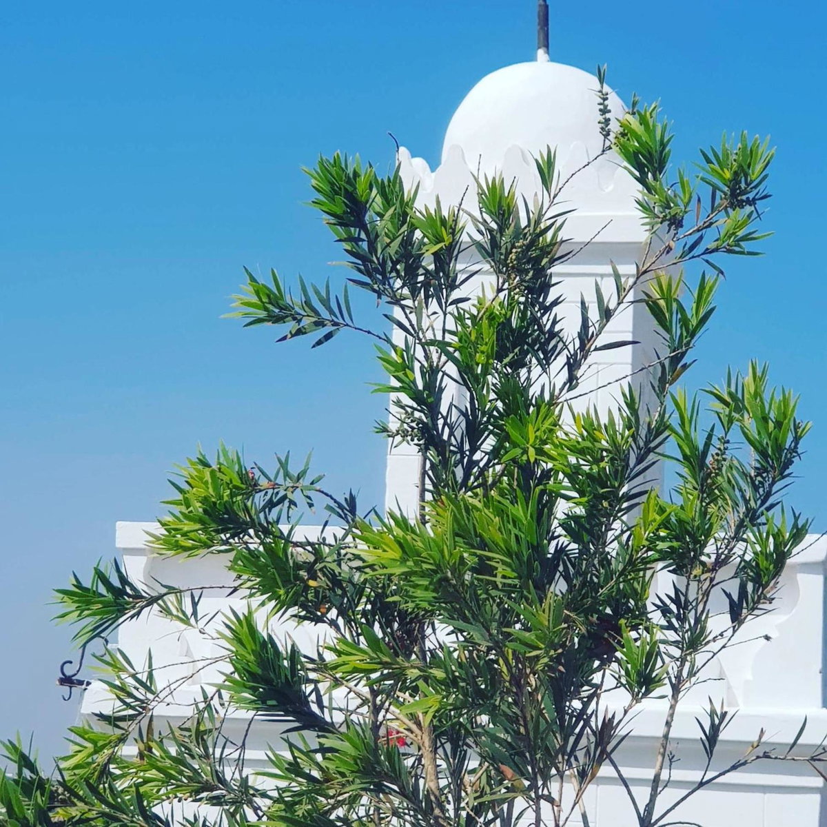 Hotel · Riad Thamayna, Sale