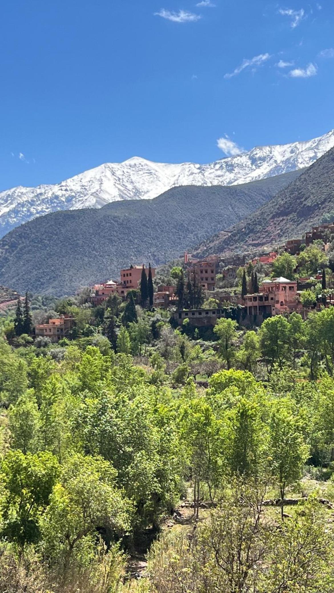 Hotel · Tazart Lodge, Marrakech