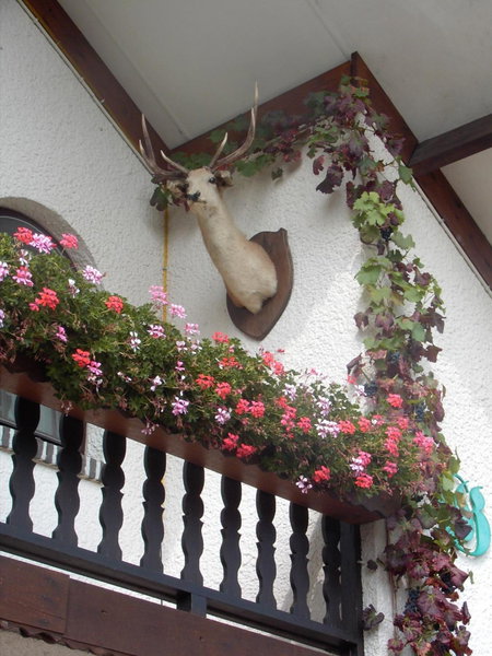gasthof lederhose, Diepenbeek, Belgien