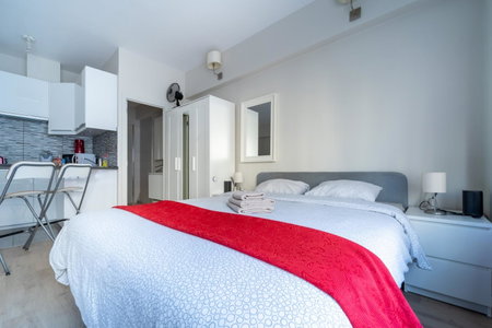 Luxury Studio In the EU Area, Ixelles, Belgium