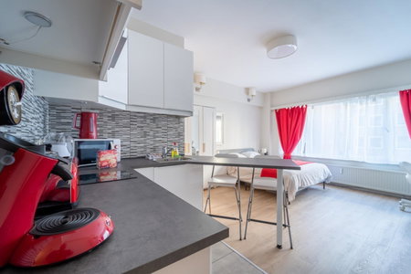Luxury Studio In the EU Area, Ixelles, Belgium