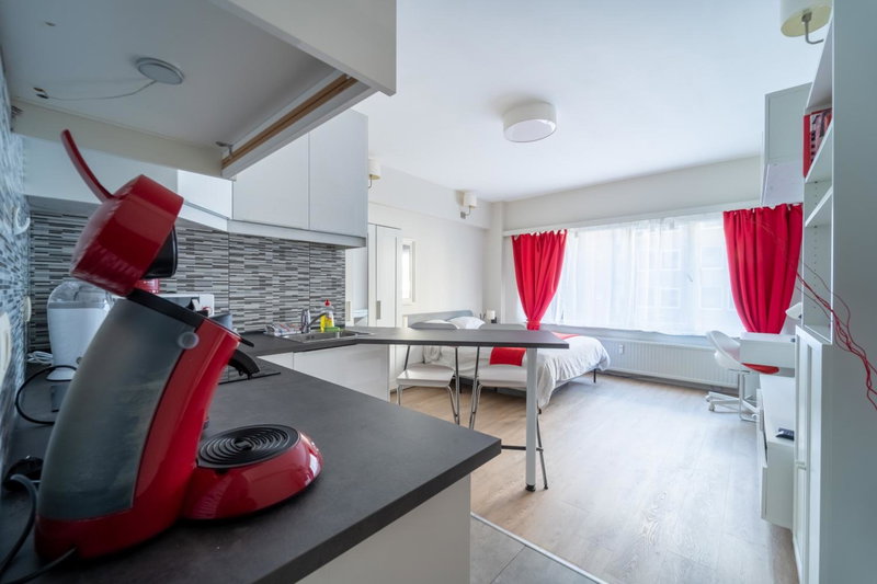 Luxury Studio In the EU Area, Ixelles, Belgium