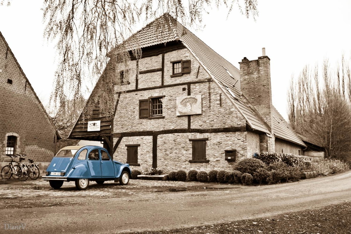 Hotel · Gastenlogies Blauwe Schaap, Ranst