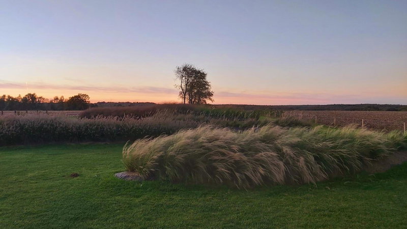 B&B Entre Champs, Waterloo, Belgium